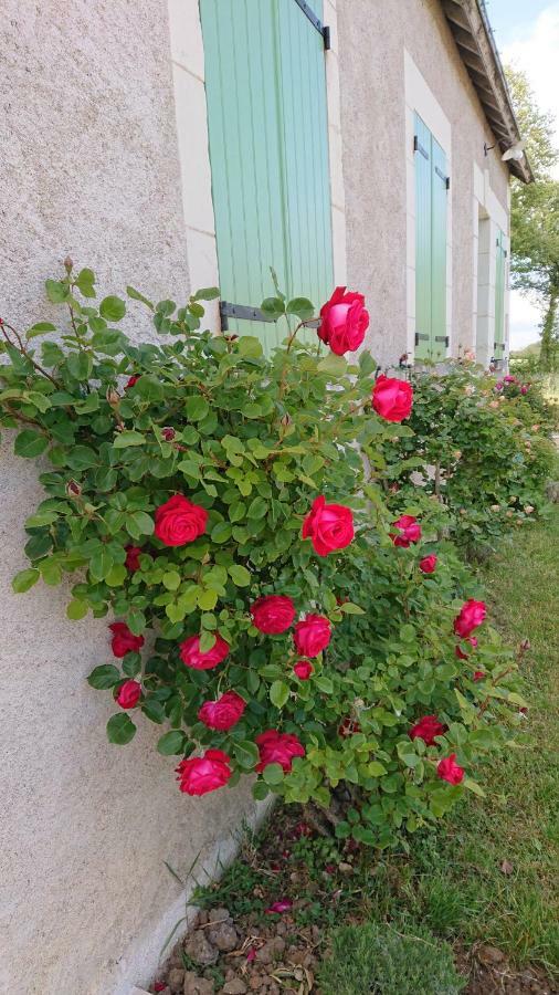 Longere Du Sud Touraine Au Coeur Du Val De Loire Villa Saint-Jean-Saint-Germain Екстериор снимка