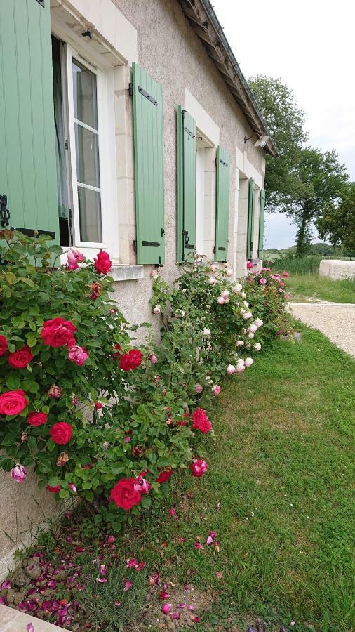 Longere Du Sud Touraine Au Coeur Du Val De Loire Villa Saint-Jean-Saint-Germain Екстериор снимка