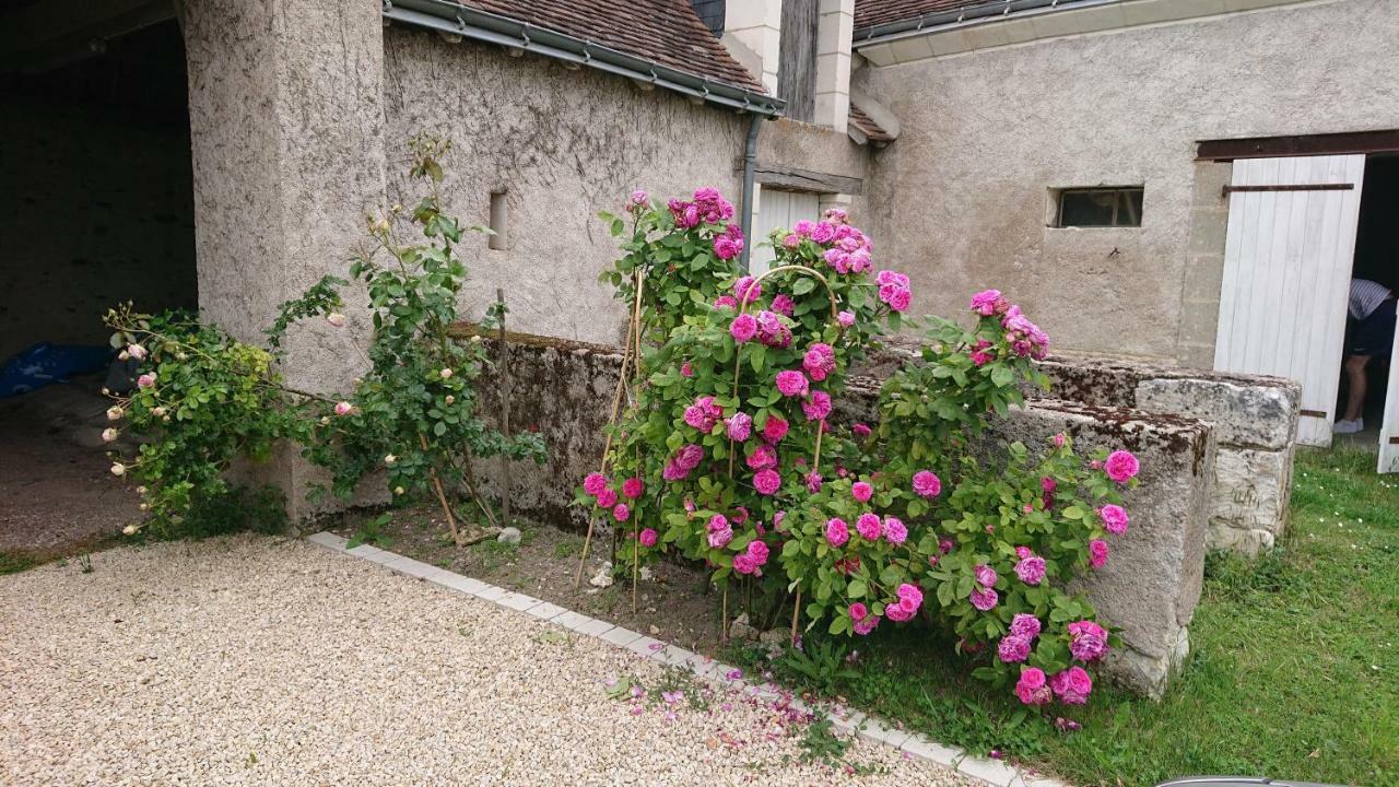 Longere Du Sud Touraine Au Coeur Du Val De Loire Villa Saint-Jean-Saint-Germain Екстериор снимка