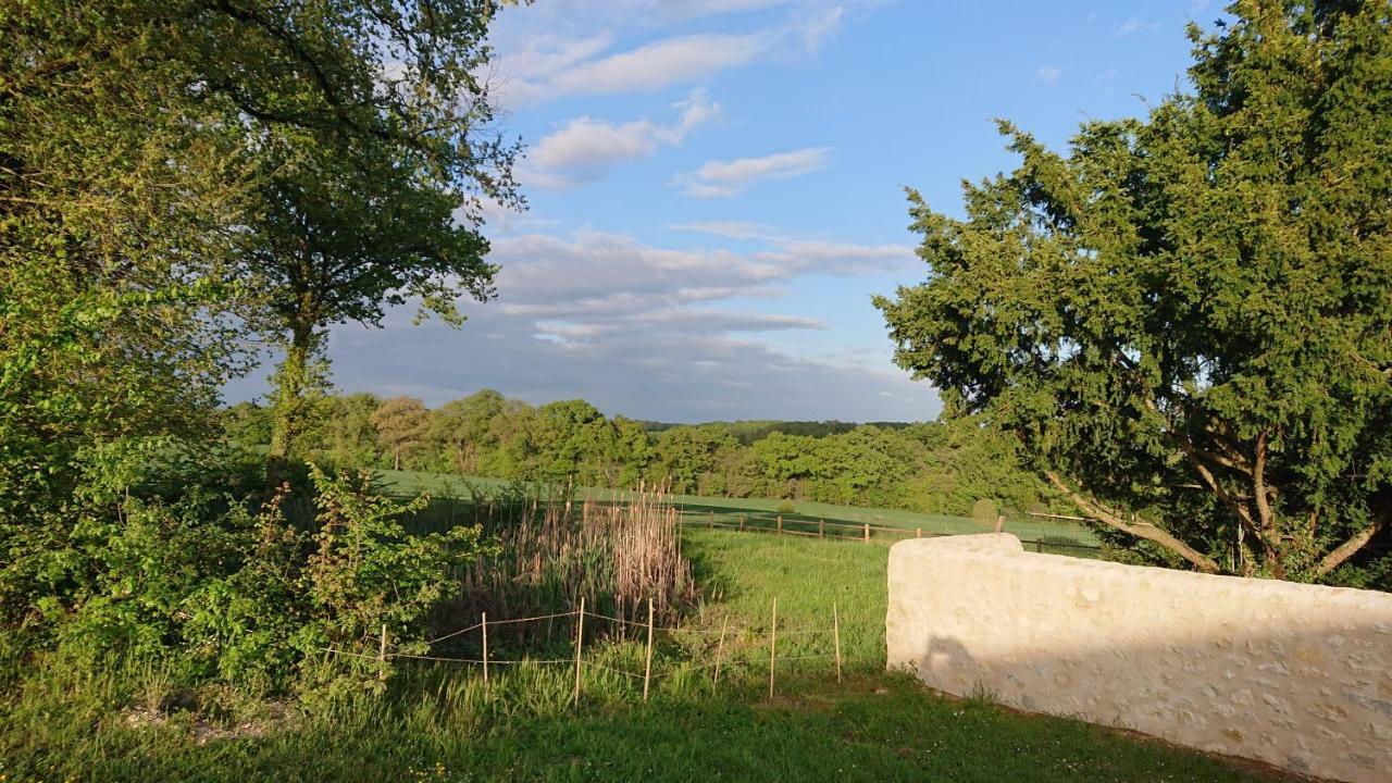 Longere Du Sud Touraine Au Coeur Du Val De Loire Villa Saint-Jean-Saint-Germain Екстериор снимка